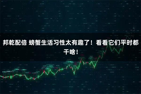 邦乾配倍 螃蟹生活习性太有趣了！看看它们平时都干啥！